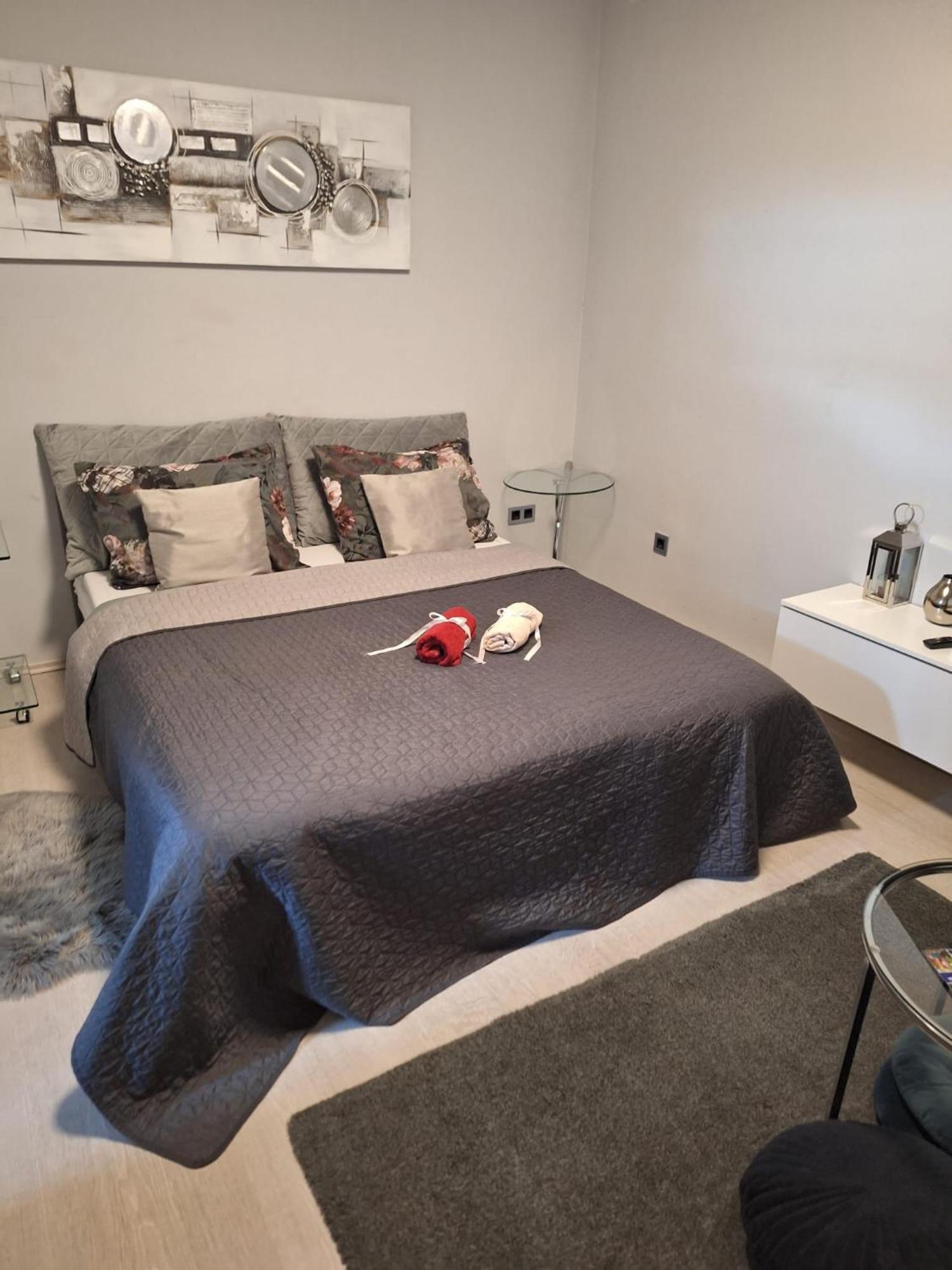 Apartment Apex Penthouse Self Check-In Karlovac Ngoại thất bức ảnh